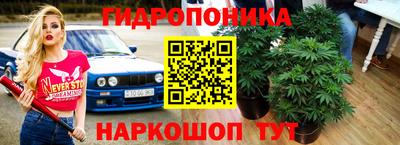 jwh Мариинск