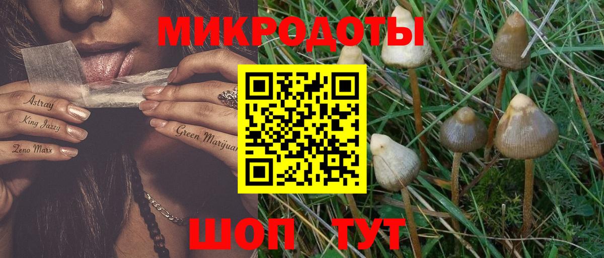 Псилоцибиновые грибы GOLDEN TEACHER  Вход с VPN  Ирбит  Галлюциногенные грибы мухоморы 