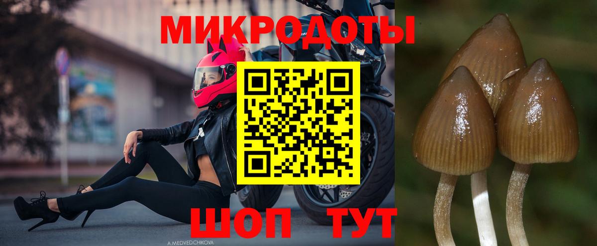 Псилоцибиновые грибы GOLDEN TEACHER Ирбит